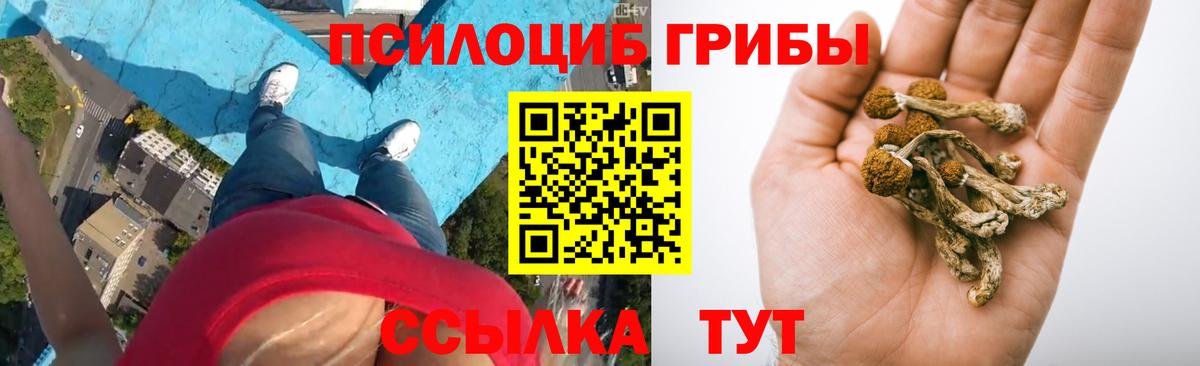 Псилоцибиновые грибы мухоморы  Вход с VPN  Кыштым 